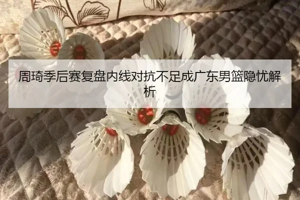 周琦季后赛复盘内线对抗不足成广东男篮隐忧解析